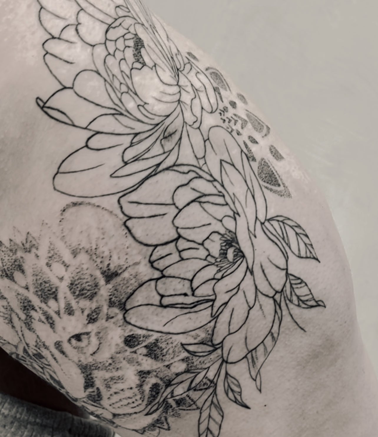 Fine Line Tattoo Course for Beginners - Blink & InkOnline educationBlink & InkBlink & Ink