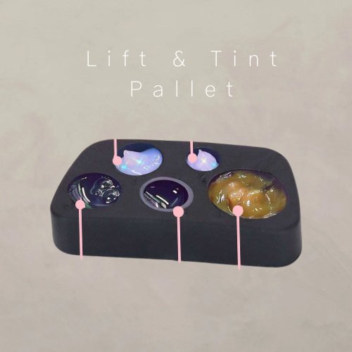 Lift & Tint Pallet - Blink & InkBlink & InkBlink & Ink